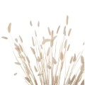 ΔΙΑΚΟΣΜΗΤΙΚΟ ΜΠΟΥΚΕΤΟ ΑΠΟΞΗΡΑΜΕΝΟ HM7959 RABBIT TAIL- CREAM 50gr 76Υεκ.