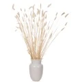ΔΙΑΚΟΣΜΗΤΙΚΟ ΜΠΟΥΚΕΤΟ ΑΠΟΞΗΡΑΜΕΝΟ HM7959 RABBIT TAIL- CREAM 50gr 76Υεκ.