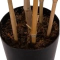 ΔΙΑΚΟΣΜΗΤΙΚΟ ΣΥΝΘΕΤΙΚΟ ΦΥΤΟ HM4736 BAMBOO ΣΕ ΓΛΑΣΤΡΑ 20x95x180Υεκ.