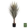 ΔΙΑΚΟΣΜΗΤΙΚΟ ΣΥΝΘΕΤΙΚΟ ΦΥΤΟ HM7987 SISAL AGAVE ΣΕ ΓΛΑΣΤΡΑ 120Υεκ.