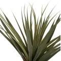 ΔΙΑΚΟΣΜΗΤΙΚΟ ΣΥΝΘΕΤΙΚΟ ΦΥΤΟ HM7988 ΔΕΝΤΡΟ SISAL ΣΕ ΓΛΑΣΤΡΑ Φ23x18-180Υεκ.