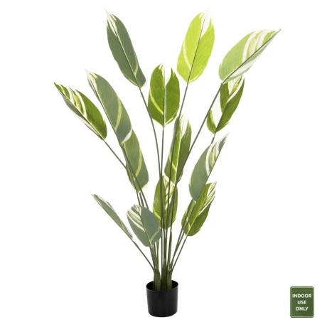 ΔΙΑΚΟΣΜΗΤΙΚΟ ΣΥΝΘΕΤΙΚΟ ΦΥΤΟ HM7997 CALATHEA ΣΕ ΓΛΑΣΤΡΑ 140Υεκ.