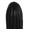 ΔΙΑΚΟΣΜΗΤΙΚΟΣ ΚΑΚΤΟΣ ΔΑΠΕΔΟΥ CACTUS HM4386.01L ΓΥΨΟΣ ΣΕ ΜΑΥΡΟ 63x37x150Υεκ.