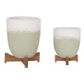 ΓΛΑΣΤΡΕΣ ΣΕΤ 2ΤΜΧ SEON HM4686.09 TERRACOTTA ΣΕ ΛΕΥΚΟ & ΠΡΑΣΙΝΟ--TEAK ΒΑΣΗ