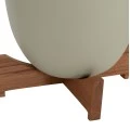 ΓΛΑΣΤΡΕΣ ΣΕΤ 2ΤΜΧ SEON HM4686.09 TERRACOTTA ΣΕ ΛΕΥΚΟ & ΠΡΑΣΙΝΟ--TEAK ΒΑΣΗ