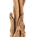 ΚΑΛΟΓΕΡΟΣ HM9367 ΑΠΟ ΜΑΣΙΦ ΞΥΛΟ TEAK ΦΥΣΙΚΟ 170-200ΕΚ.