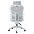 ΚΑΡΕΚΛΑ ΓΡΑΦΕΙΟΥ APEX HM1227.02 ΛΕΥΚΟ PP--ΑΝΟΙΧΤΟ ΓΚΡΙ MESH 70x66x113-130Υεκ