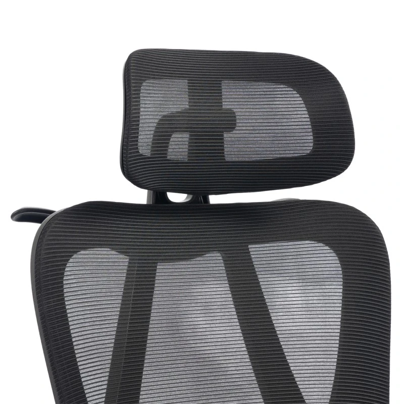 ΚΑΡΕΚΛΑ ΓΡΑΦΕΙΟΥ FRANTIC HM1224.01 ΜΑΥΡO MESH & ΠΟΛΥΠΡΟΠΥΛΕΝΙΟ 60x66x130Υεκ