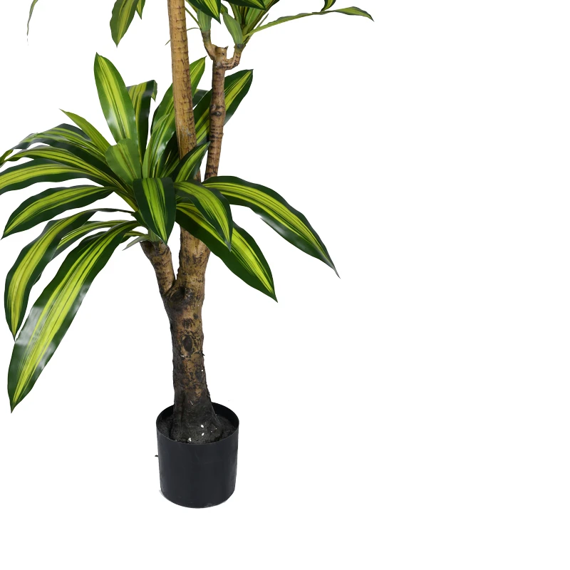 Διακοσμητικό φυτό Dracaena I σε γλάστρα Inart  πράσινο pp Υ170εκ