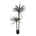 Διακοσμητικό φυτό Dracaena palm σε γλάστρα Inart πράσινο pp Υ125εκ