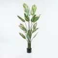 Διακοσμητικό φυτό σε γλάστρα Aglaonema Inart πράσινο Φ80x150εκ