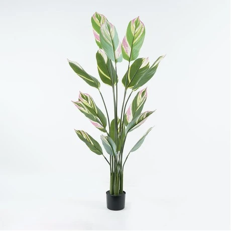 Decorative plant in a pot Aglaonema Inart green D80x150cm