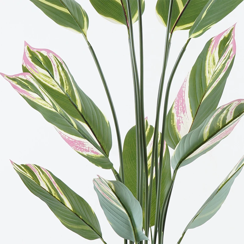 Διακοσμητικό φυτό σε γλάστρα Aglaonema Inart πράσινο Φ80x150εκ