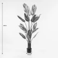Διακοσμητικό φυτό σε γλάστρα Aglaonema Inart πράσινο Φ80x150εκ