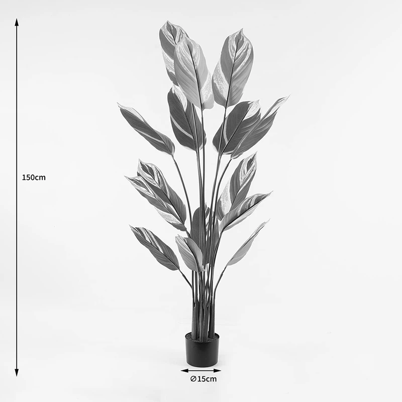 Διακοσμητικό φυτό σε γλάστρα Aglaonema Inart πράσινο Φ80x150εκ