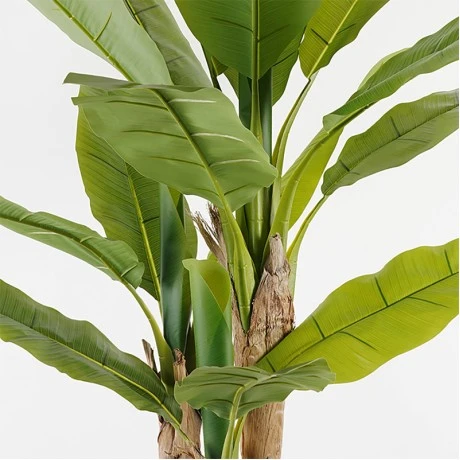 Decorative plant in a pot Banana Tree Inart green D53x190cm