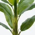 Decorative plant in pot Banono Inart green D95x160cm