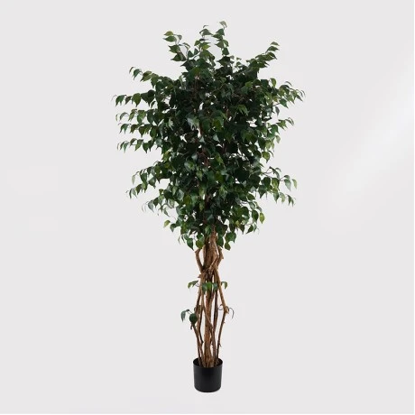 Decorative plant in pot Banyan Inart green D95x180cm