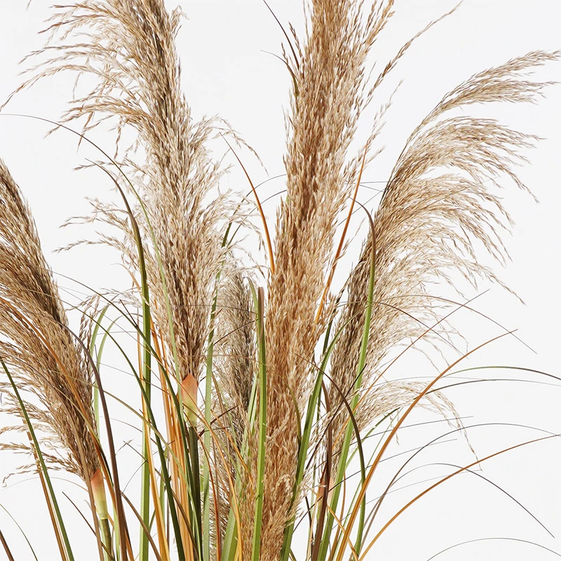 Διακοσμητικό φυτό σε γλάστρα Bulrush Inart Φ65x120εκ