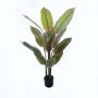 Διακοσμητικό φυτό σε γλάστρα Calathea Inart πράσινο Φ68x120εκ