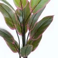 Διακοσμητικό φυτό σε γλάστρα Calathea Inart πράσινο Φ68x120εκ