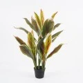 Διακοσμητικό φυτό σε γλάστρα Cycas Inart πράσινο Φ55x80εκ