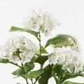 Decorative plant in a pot Hydrangea Inart white D35x50cm