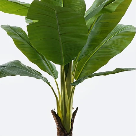 Decorative plant in a pot Musa Inart green D105x180cm