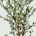 Decorative plant in pot Olia Inart green 65x55x180cm