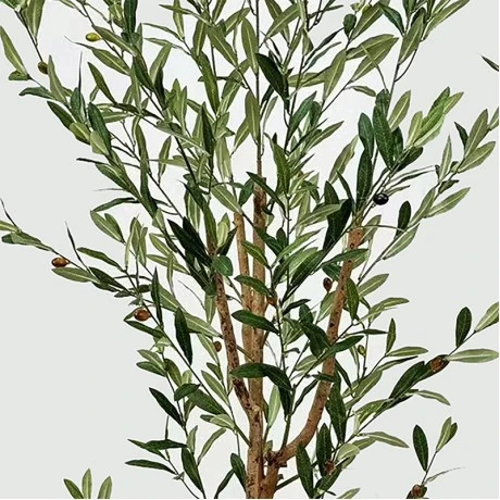 Decorative plant in pot Olia Inart green 65x55x180cm