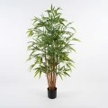Διακοσμητικό φυτό σε γλάστρα Rhapis Palm Inart πράσινο Φ60x120εκ