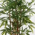 Διακοσμητικό φυτό σε γλάστρα Rhapis Palm Inart πράσινο Φ60x120εκ