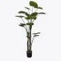 Διακοσμητικό φυτό σε γλάστρα Taro Plant Inart πράσινο Φ90x180εκ