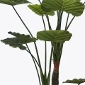 Διακοσμητικό φυτό σε γλάστρα Taro Plant Inart πράσινο Φ90x180εκ