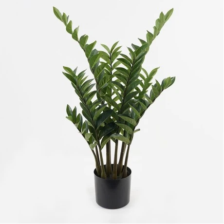 Decorative potted plant Zamia Inart green D52x88cm