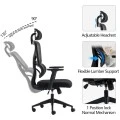 Cadrey pakoworld mesh black manager's office chair 67x64x120-128cm