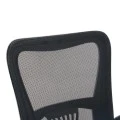 Work chair manager Annalise pakoworld black mesh 57x53x100cm