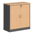 Professional low cabinet Fesialo pakoworld in natural-anthracite color 80x41x80cm