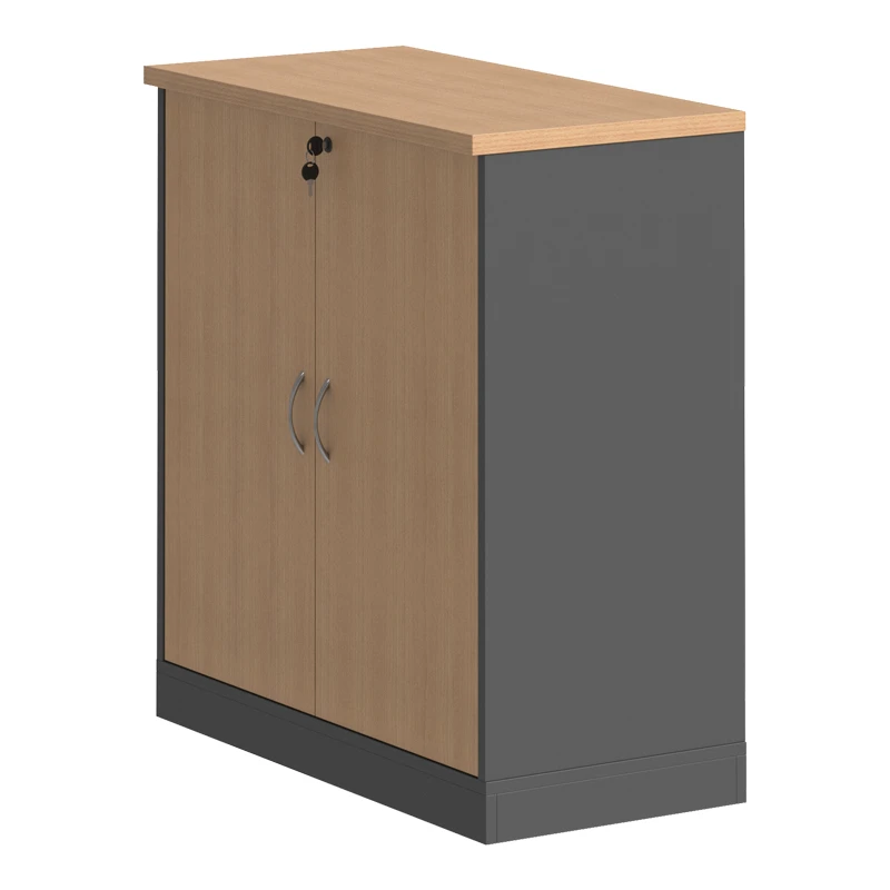 Professional low cabinet Fesialo pakoworld in natural-anthracite color 80x41x80cm