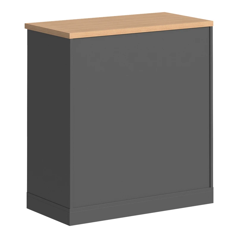 Professional low cabinet Fesialo pakoworld in natural-anthracite color 80x41x80cm