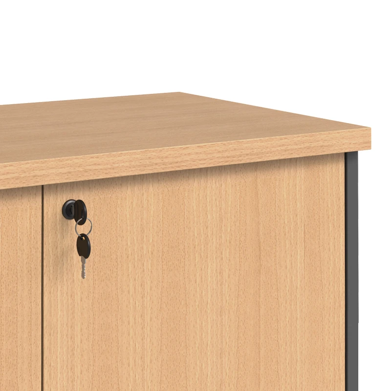 Professional low cabinet Fesialo pakoworld in natural-anthracite color 80x41x80cm