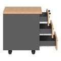 Professional wheeled drawer Fesialo pakoworld natural-anthracite 39x47x52.5cm
