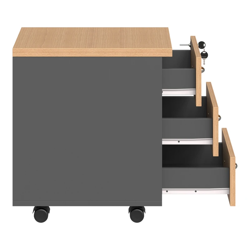 Professional wheeled drawer Fesialo pakoworld natural-anthracite 39x47x52.5cm