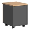 Professional wheeled drawer Fesialo pakoworld natural-anthracite 39x47x52.5cm