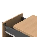 Professional wheeled drawer Fesialo pakoworld natural-anthracite 39x47x52.5cm